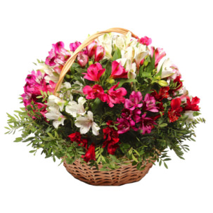 Цветы в корзинке "Краски альстромерий"